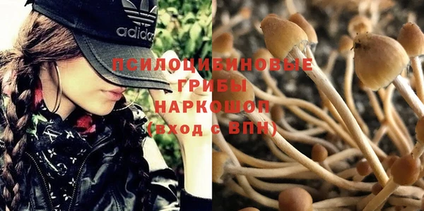 стафф Кулебаки