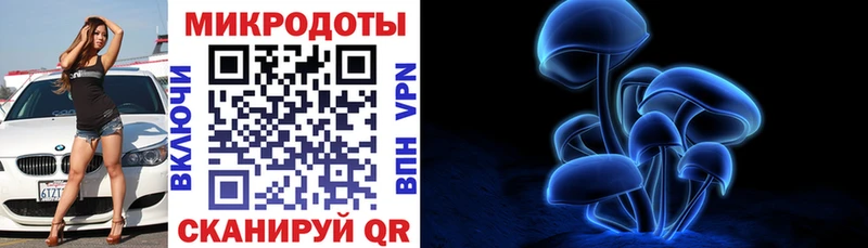 Галлюциногенные грибы MAGIC MUSHROOMS  закладка  Шахты 